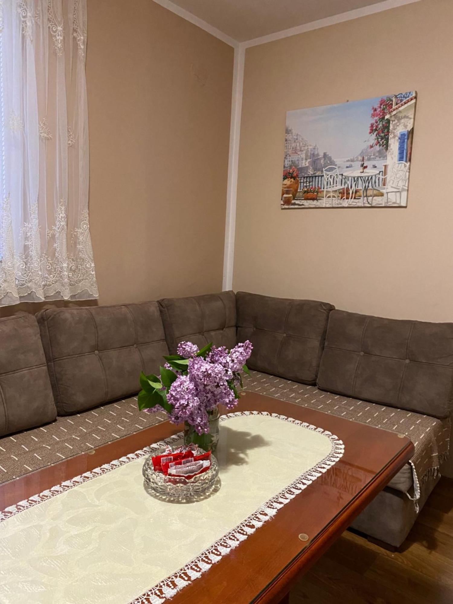 Apartman Sara Pluzine Exterior photo
